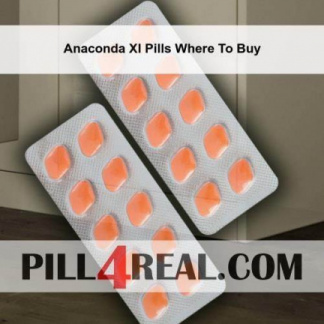 Anaconda Xl Pills Where To Buy 693