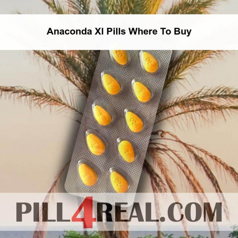 Anaconda Xl Pills Where To Buy 743