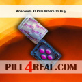 Anaconda Xl Pills Where To Buy 765