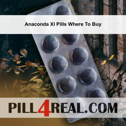 Anaconda Xl Pills Where To Buy 793