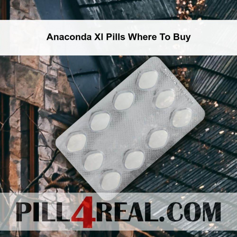 Anaconda Xl Pills Where To Buy 802
