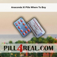 Anaconda Xl Pills Where To Buy 885