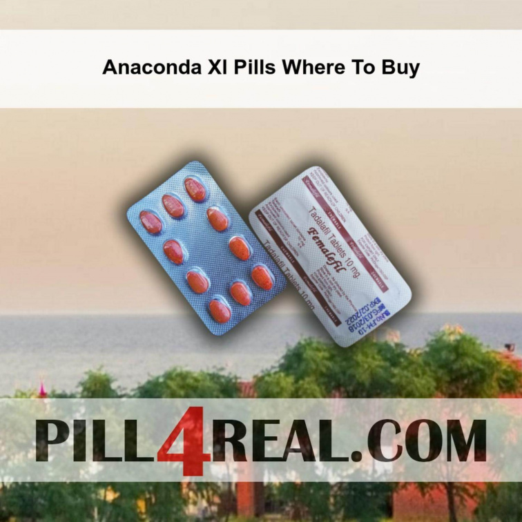 Anaconda Xl Pills Where To Buy 885