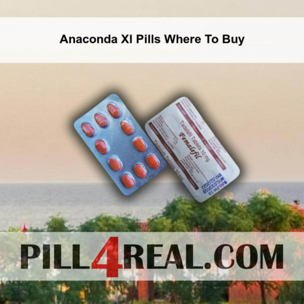 Anaconda Xl Pills Where To Buy 885
