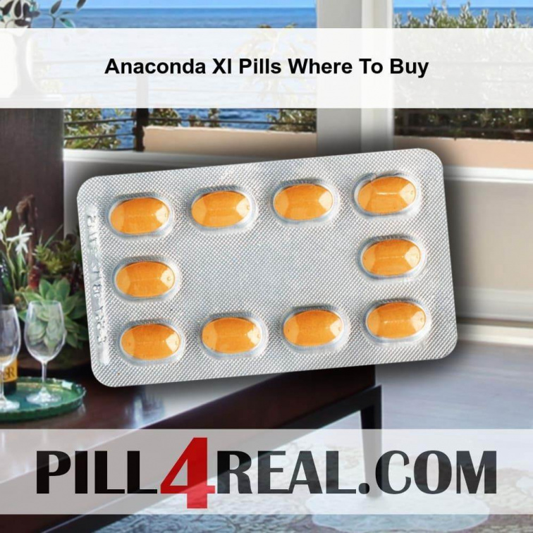 Anaconda Xl Pills Where To Buy 899