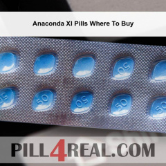 Anaconda Xl Pills Where To Buy 962