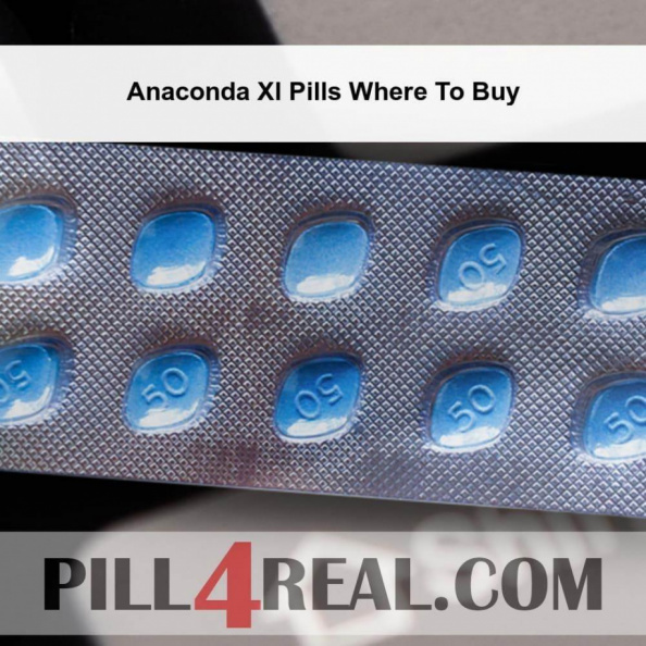 Anaconda Xl Pills Where To Buy 962