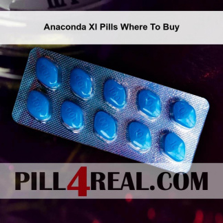 Anaconda Xl Pills Where To Buy 992