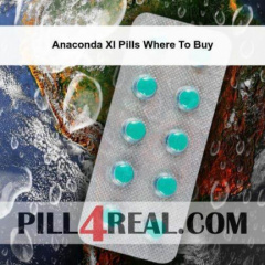 Anaconda Xl Pills Where To Buy 998