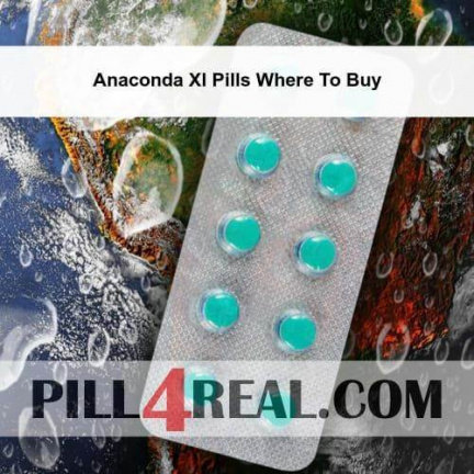 Anaconda Xl Pills Where To Buy 998