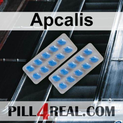 Apcalis 079