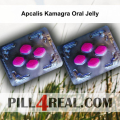 Apcalis Kamagra Oral Jelly 003