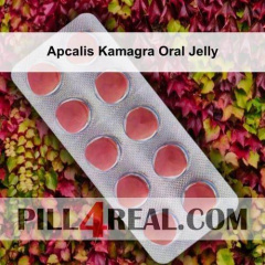 Apcalis Kamagra Oral Jelly 911