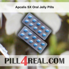 Apcalis SX Oral Jelly Pills 460