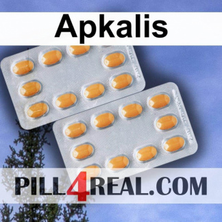 Apkalis 521