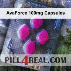 AvaForce 100mg Capsules 493