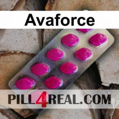 Avaforce 371