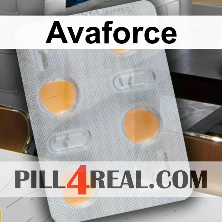 Avaforce 481