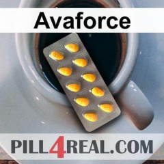 Avaforce 561