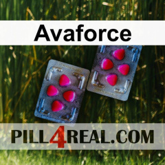 Avaforce 674