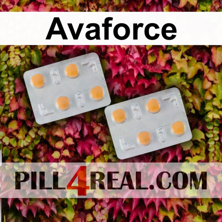 Avaforce 776