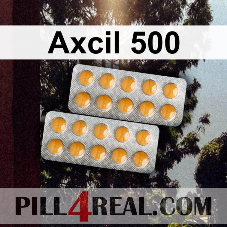 Axcil 500 416