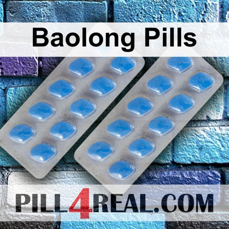Baolong Pills 480