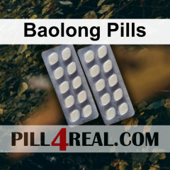 Baolong Pills 495