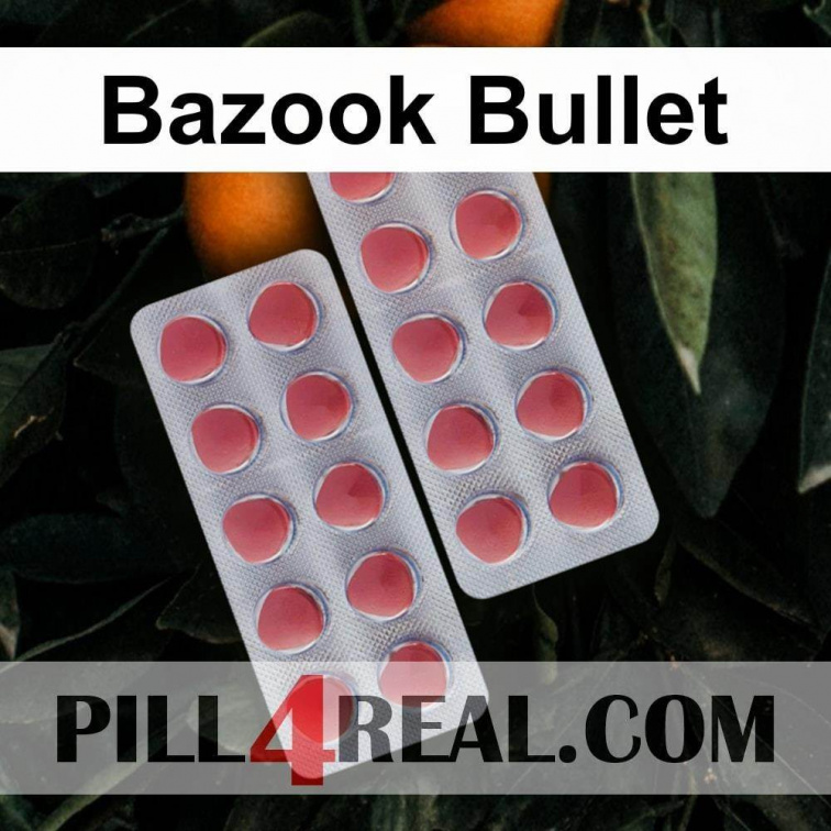 Bazook Bullet 384