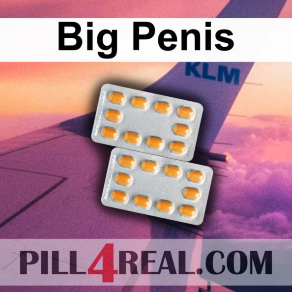 Big Penis 114
