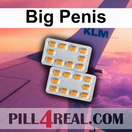 Big Penis 114