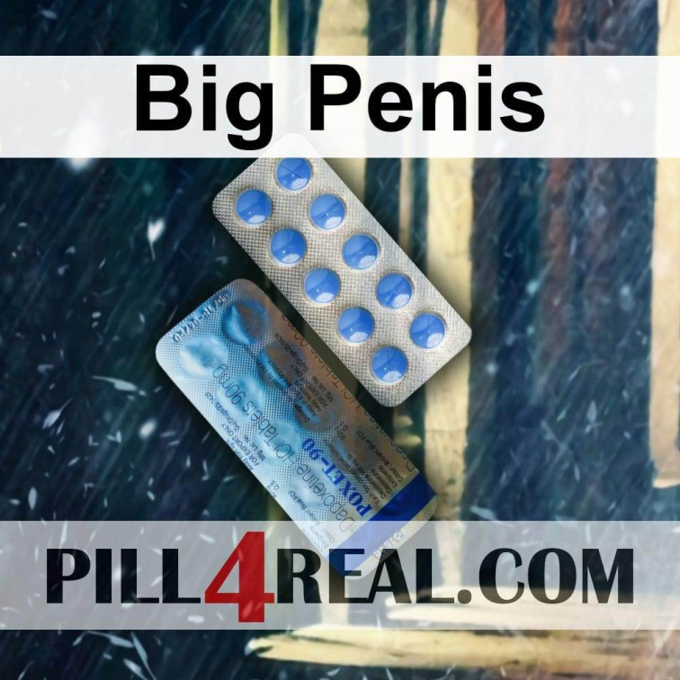 Big Penis 190