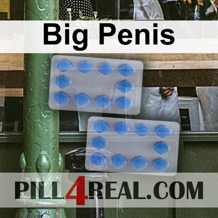 Big Penis 221