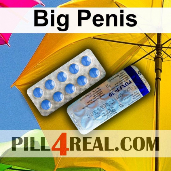 Big Penis 231