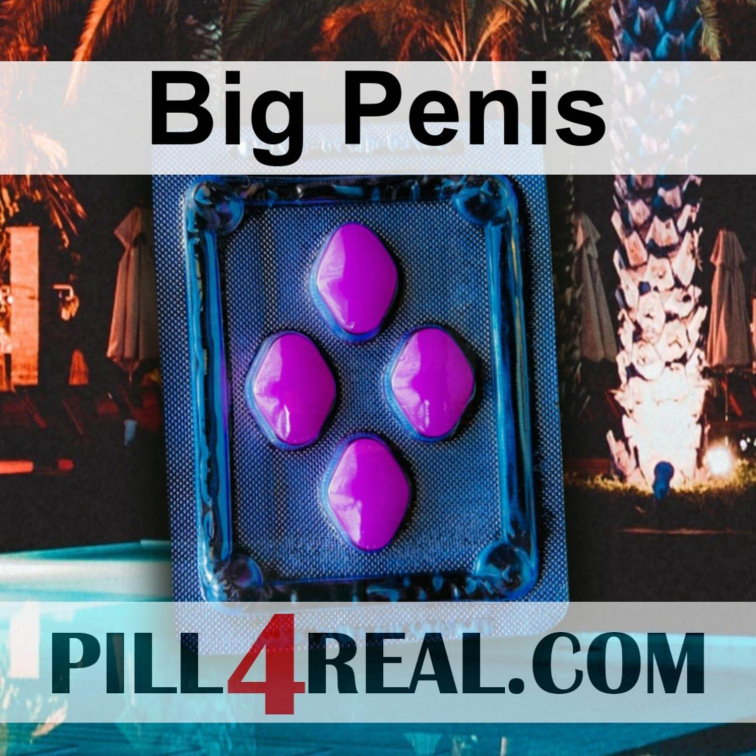 Big Penis 249