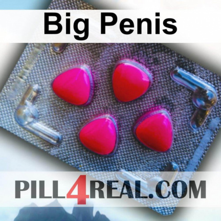 Big Penis 254