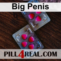 Big Penis 312