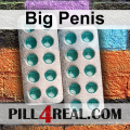 Big Penis 379