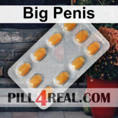 Big Penis 436