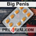 Big Penis 436
