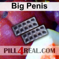 Big Penis 532