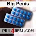 Big Penis 632