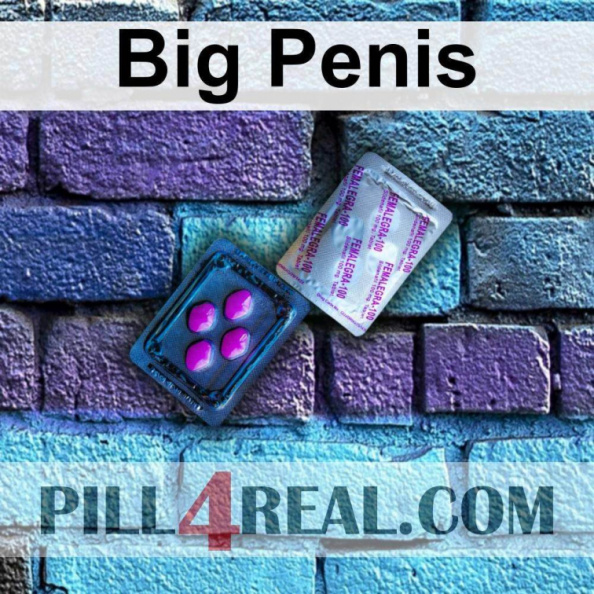 Big Penis 689
