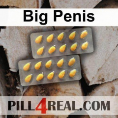 Big Penis 690