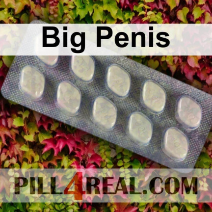 Big Penis 754