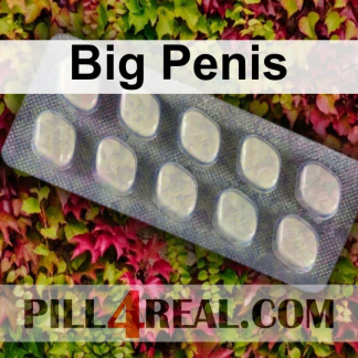 Big Penis 754