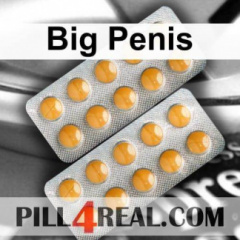 Big Penis 801