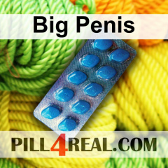 Big Penis 856