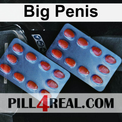 Big Penis 908