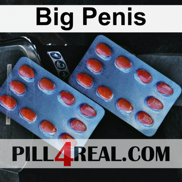 Big_Penis_908.jpg